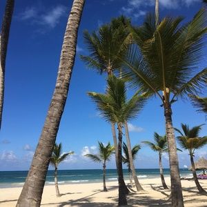 Meet your Posher, Helene